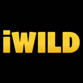 iWild najlepsze kasyna online